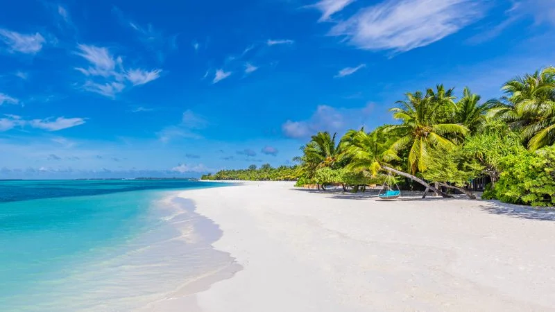 Special Travel Offers