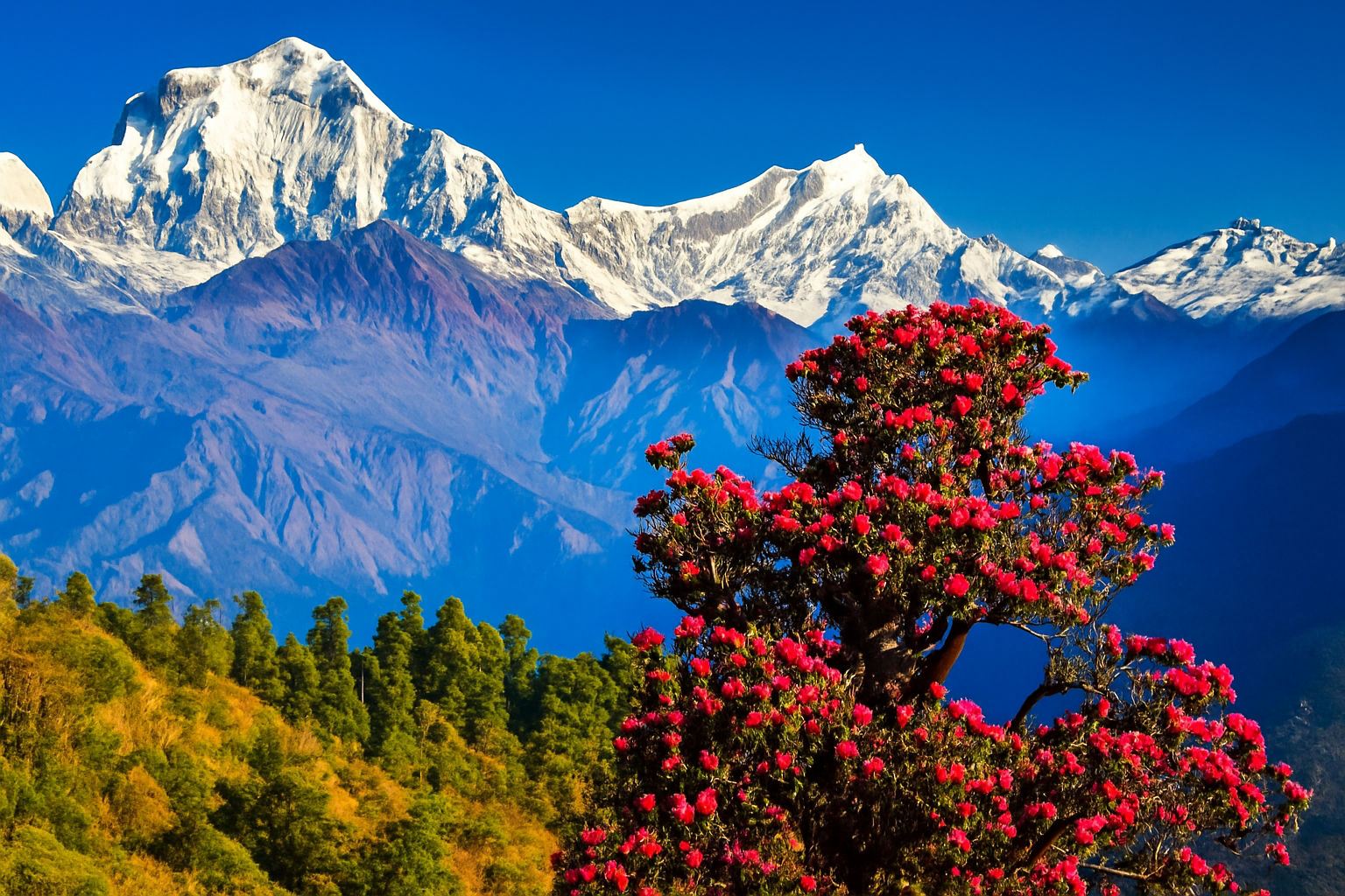 Kathmandu